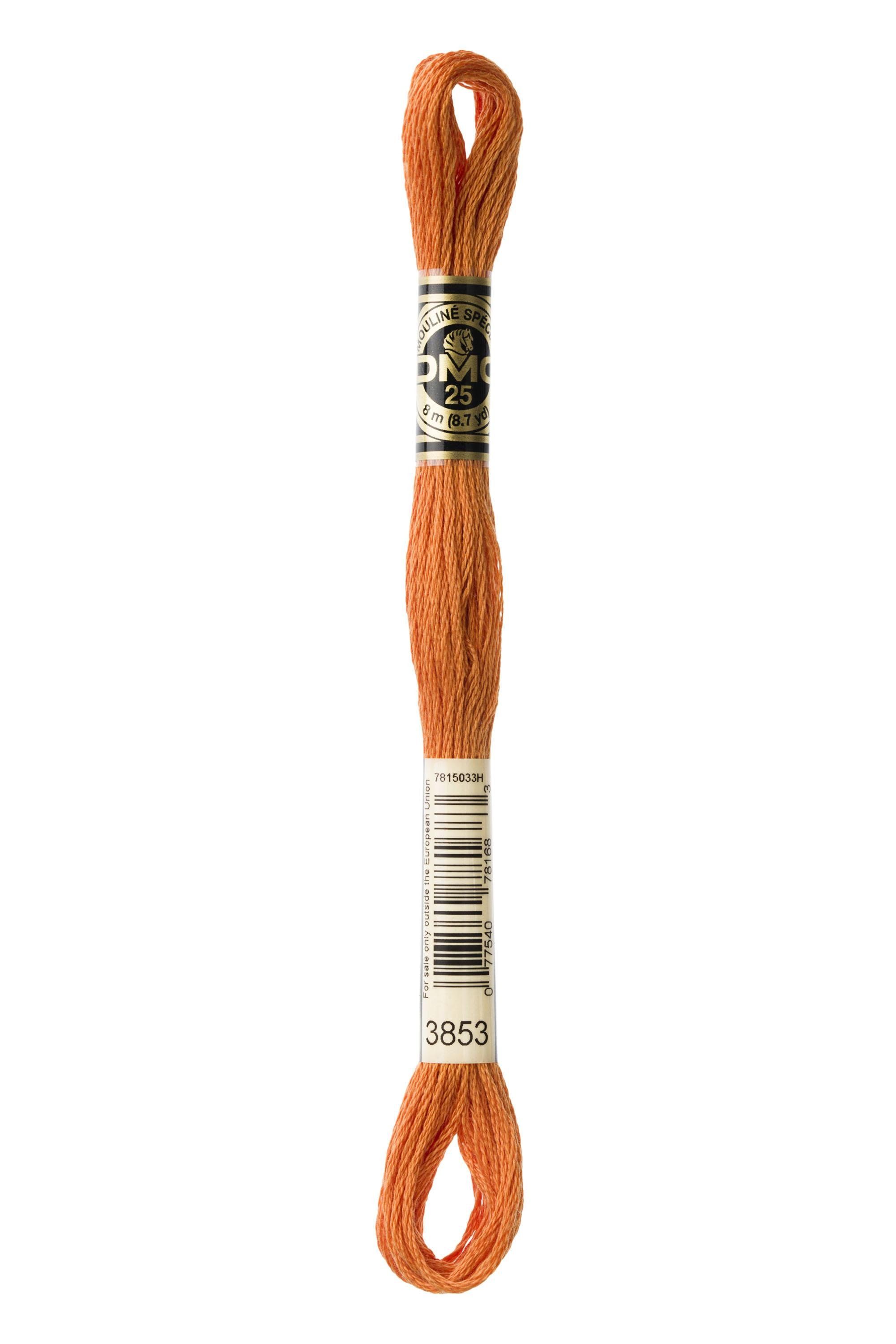 DMC DMC Mouliné 3853