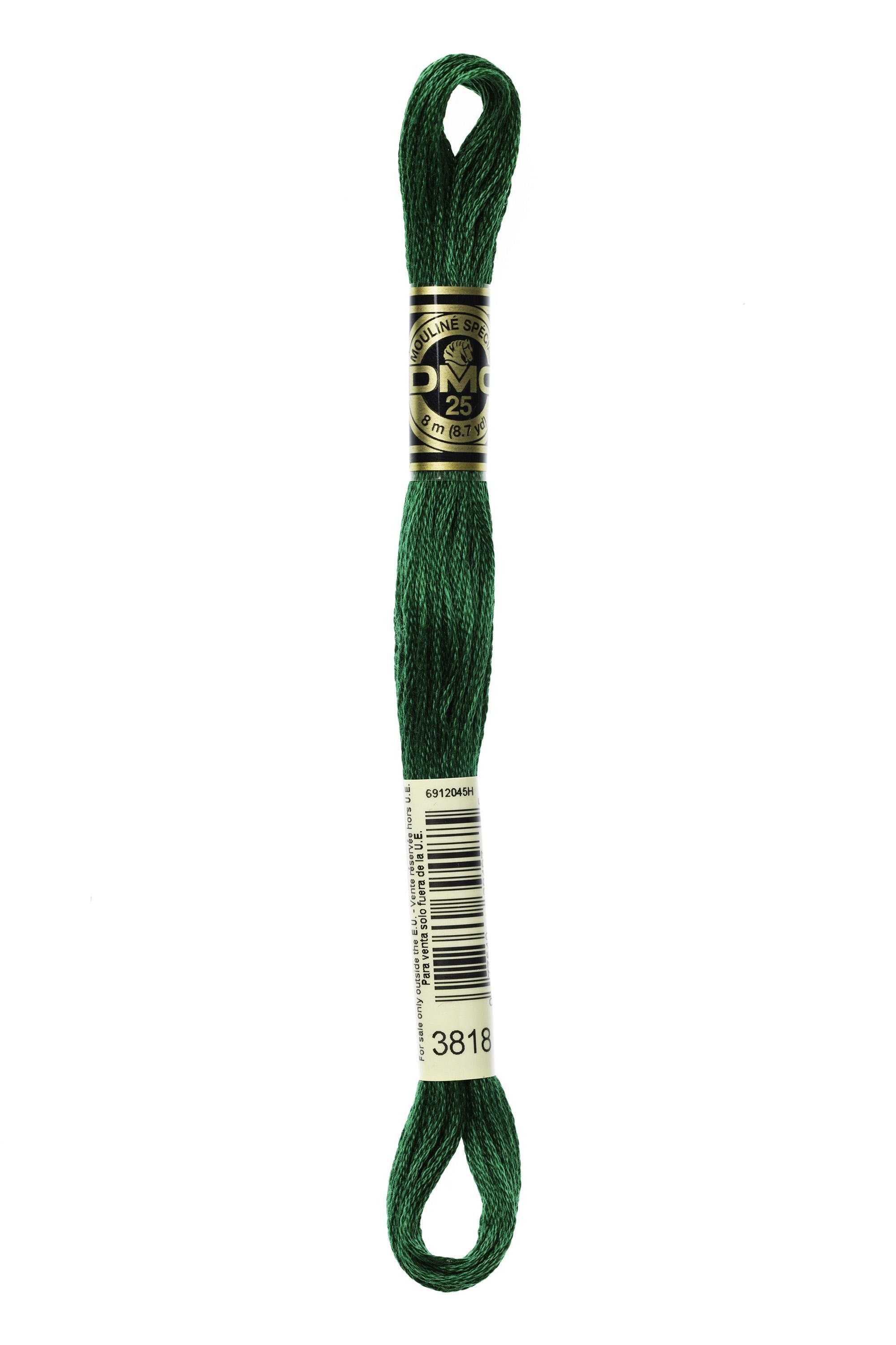 DMC DMC Mouliné 3818