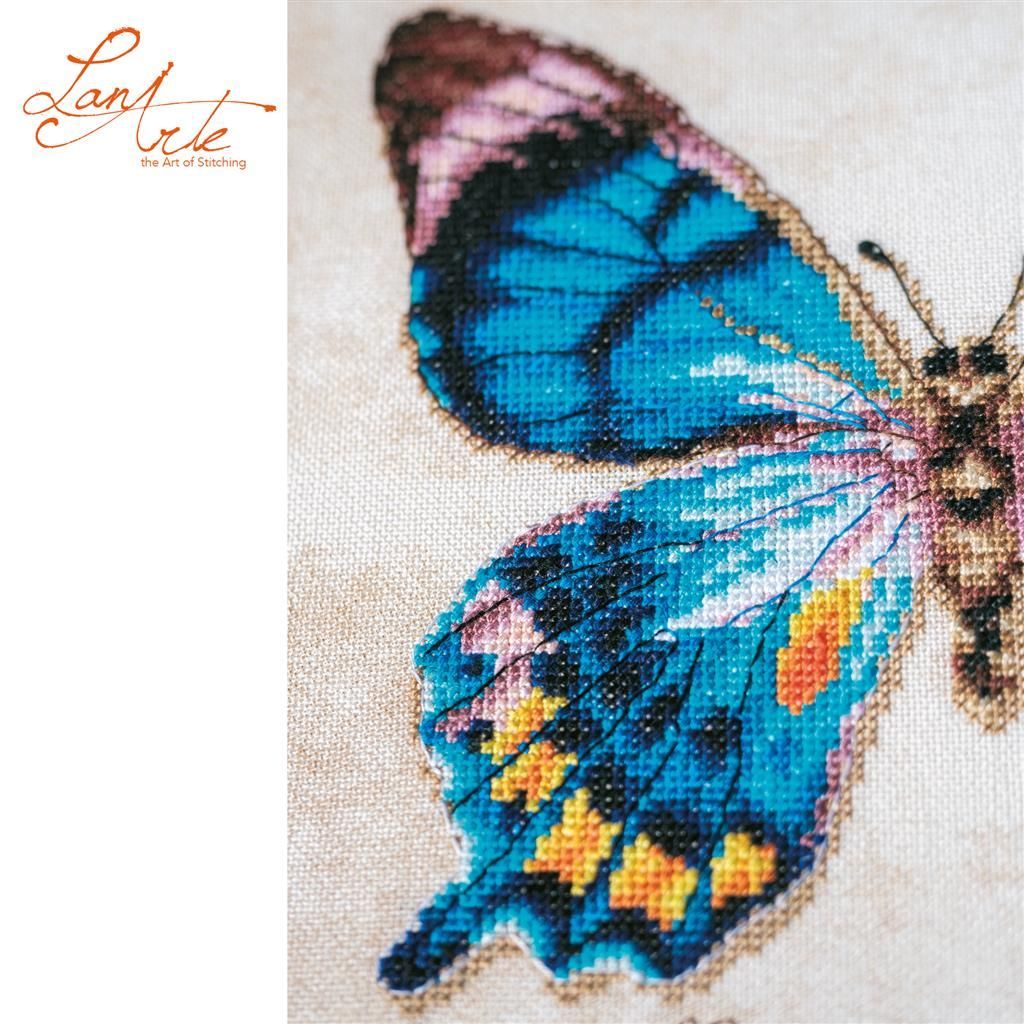 Lanarte Papilio laglaizei