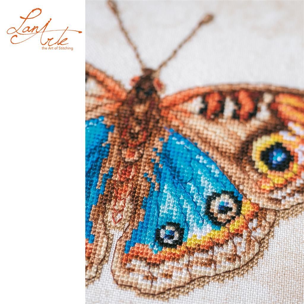 Lanarte Junonia coenia