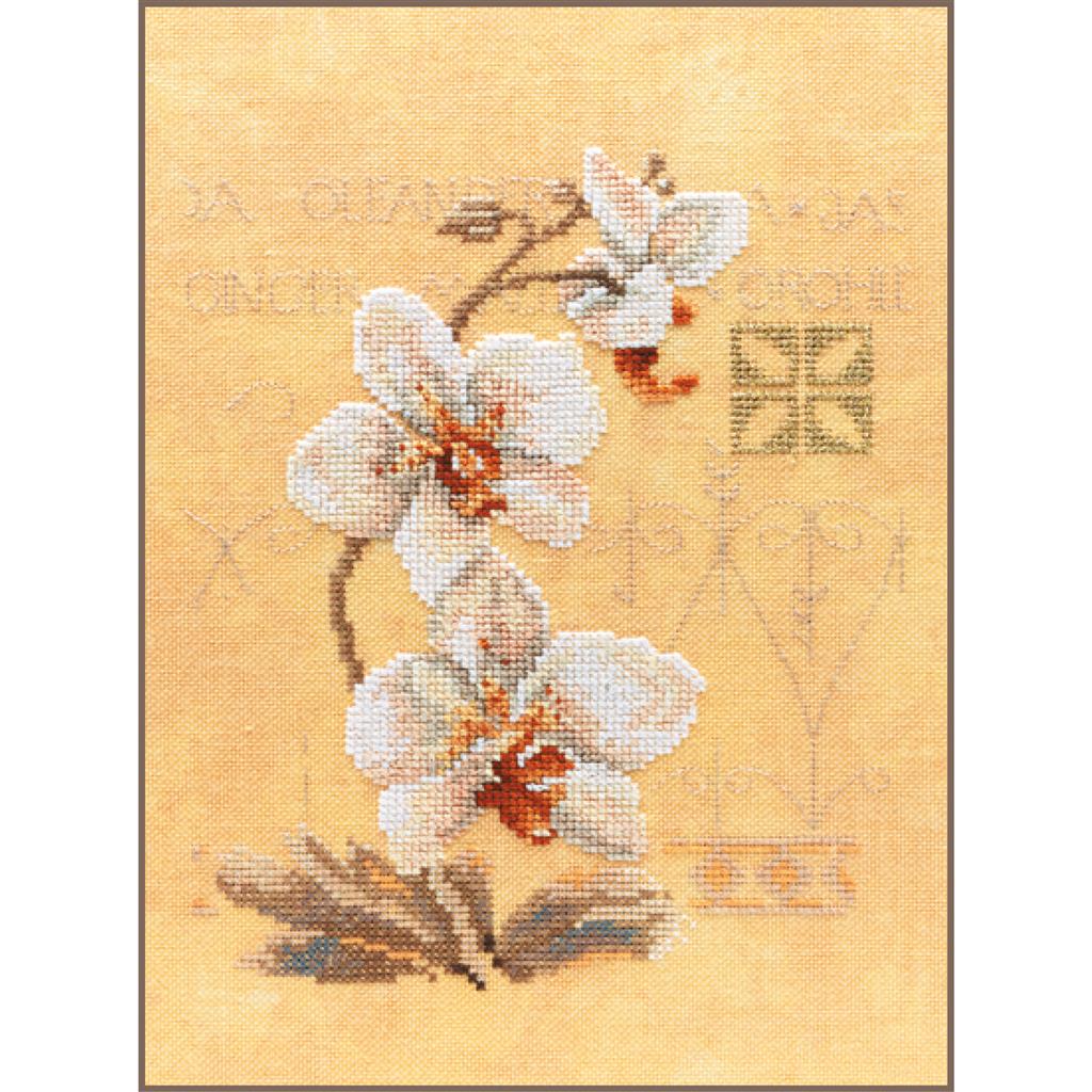 Lanarte Drei Orchideen
