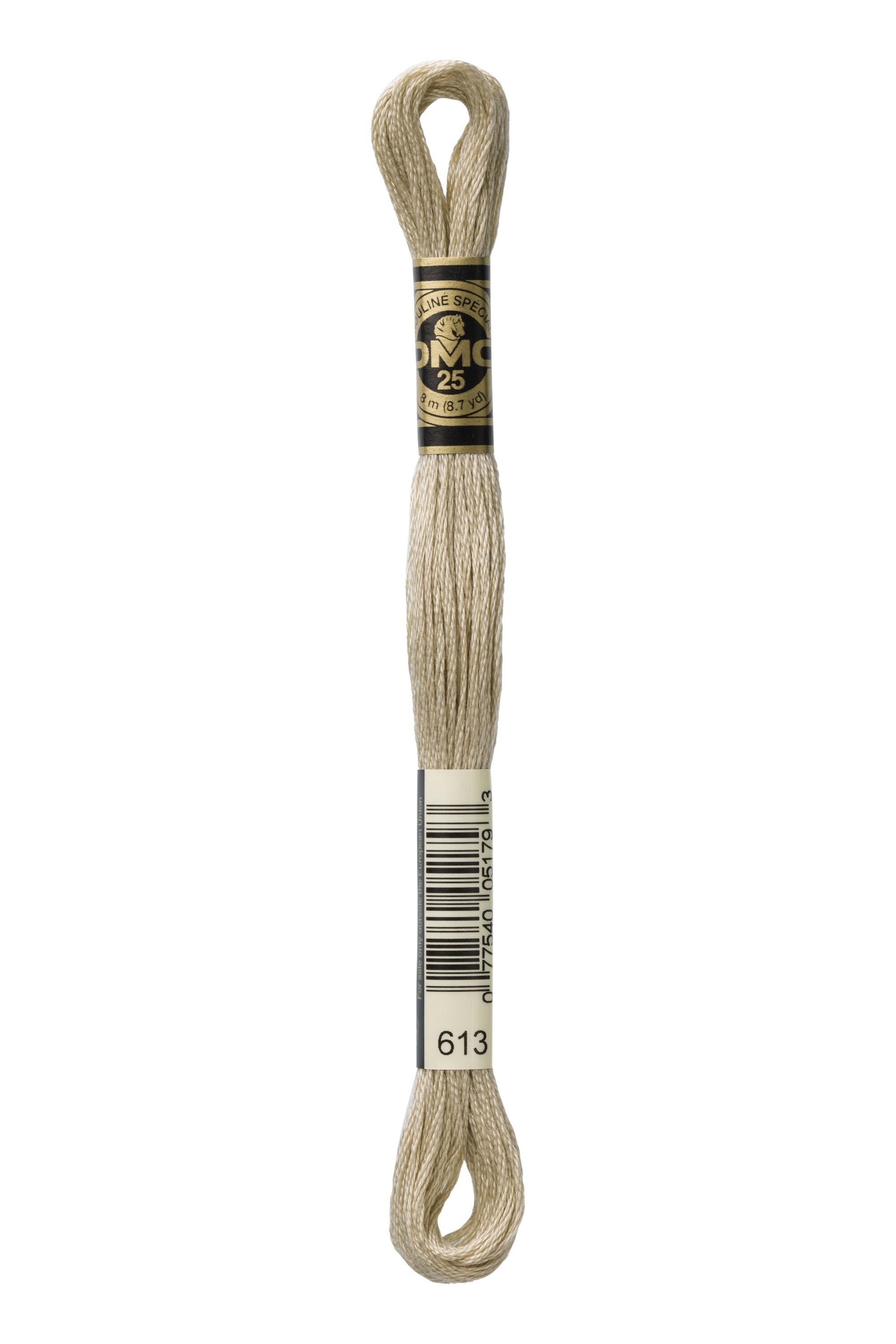 DMC DMC Mouliné 613