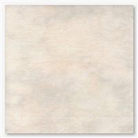 Picture This Plus Leinen 36ct - Tycho