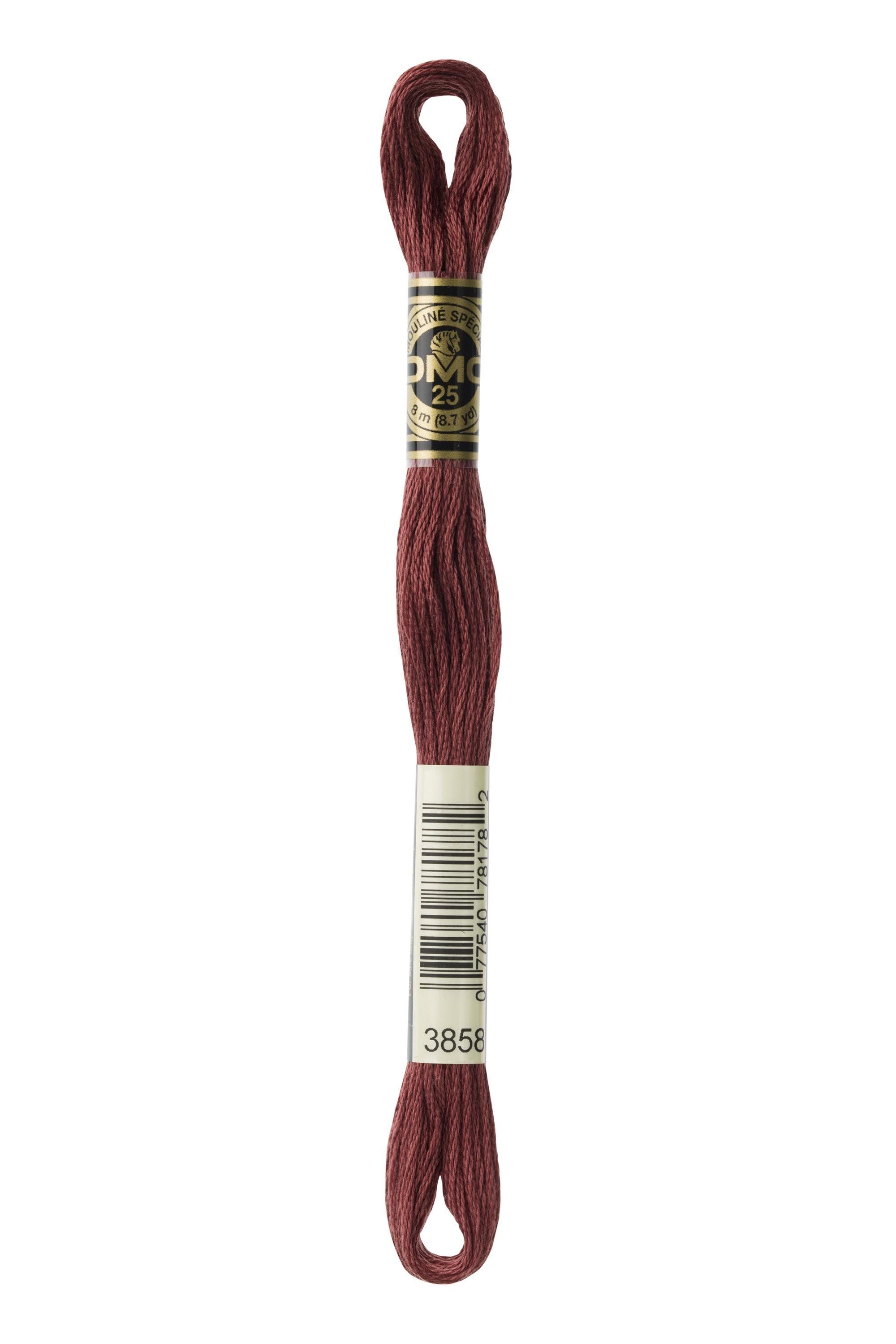 DMC DMC Mouliné 3858