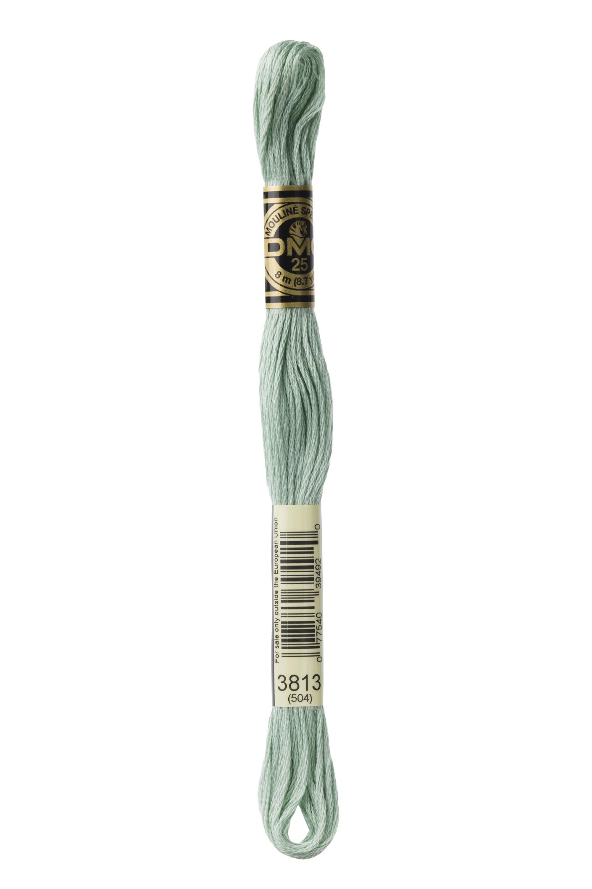 DMC DMC Mouliné 3813