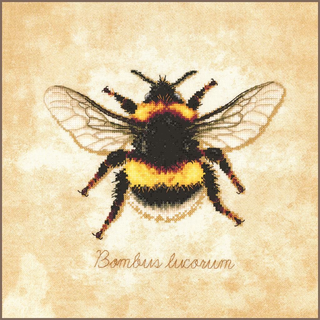 Lanarte Bombus lucorum