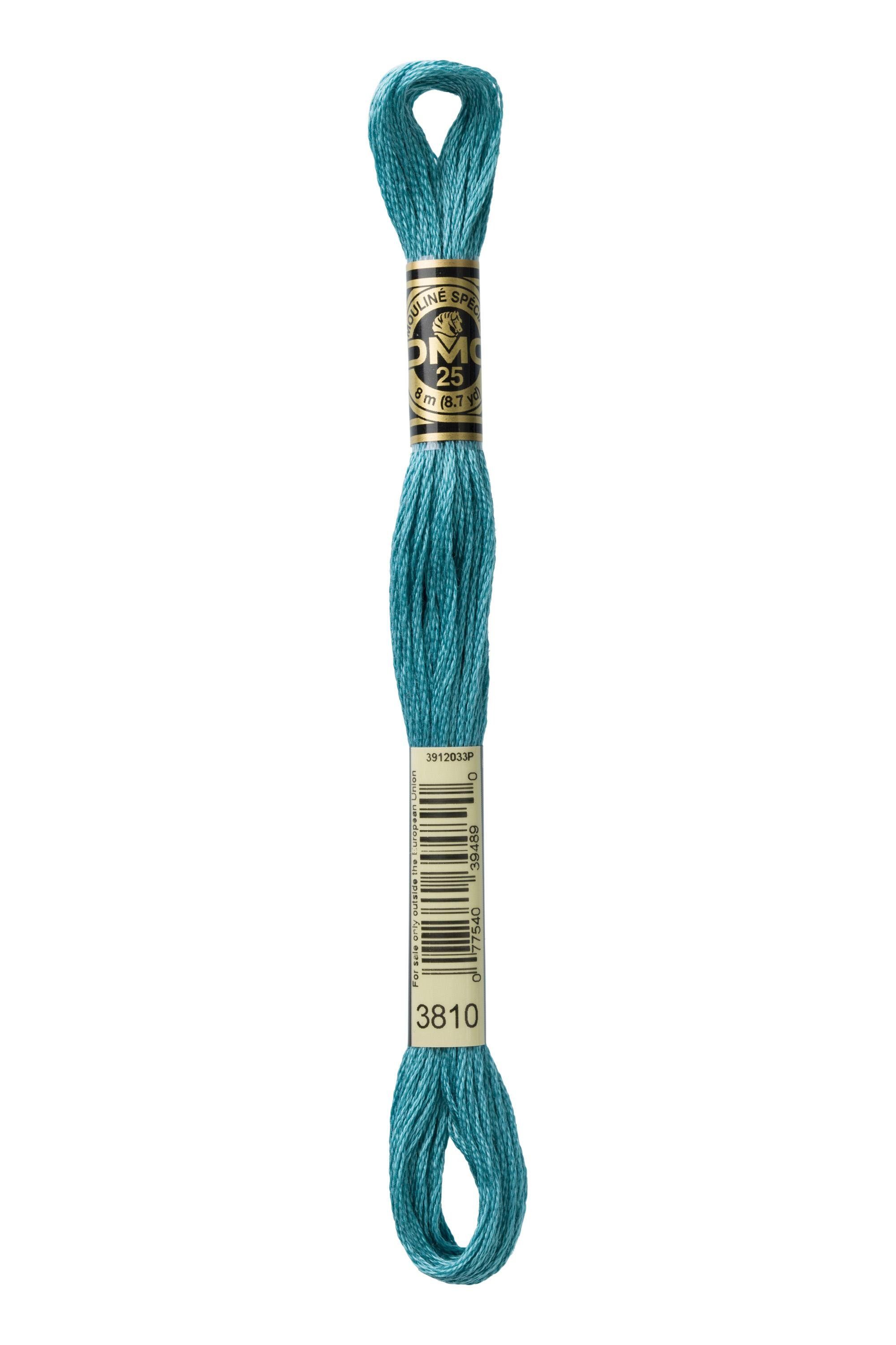DMC DMC Mouliné 3810