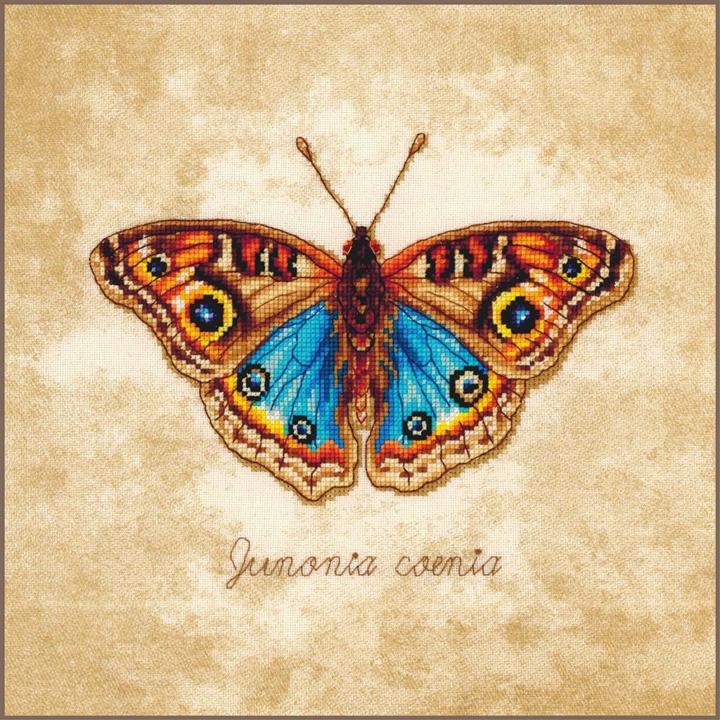 Lanarte Junonia coenia