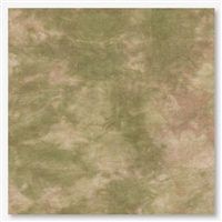 Picture This Plus Leinen 36ct - Veldt
